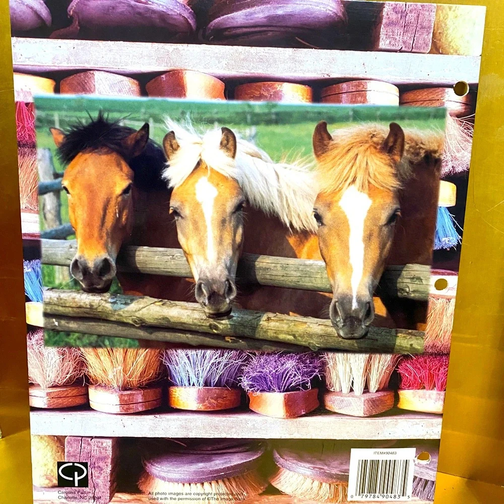 HORSES VINTAGE 90’s PORTFOLIO 3 RING BINDER FOLDERS BUNDLE OF 3 GREAT FOR SCHOOL
